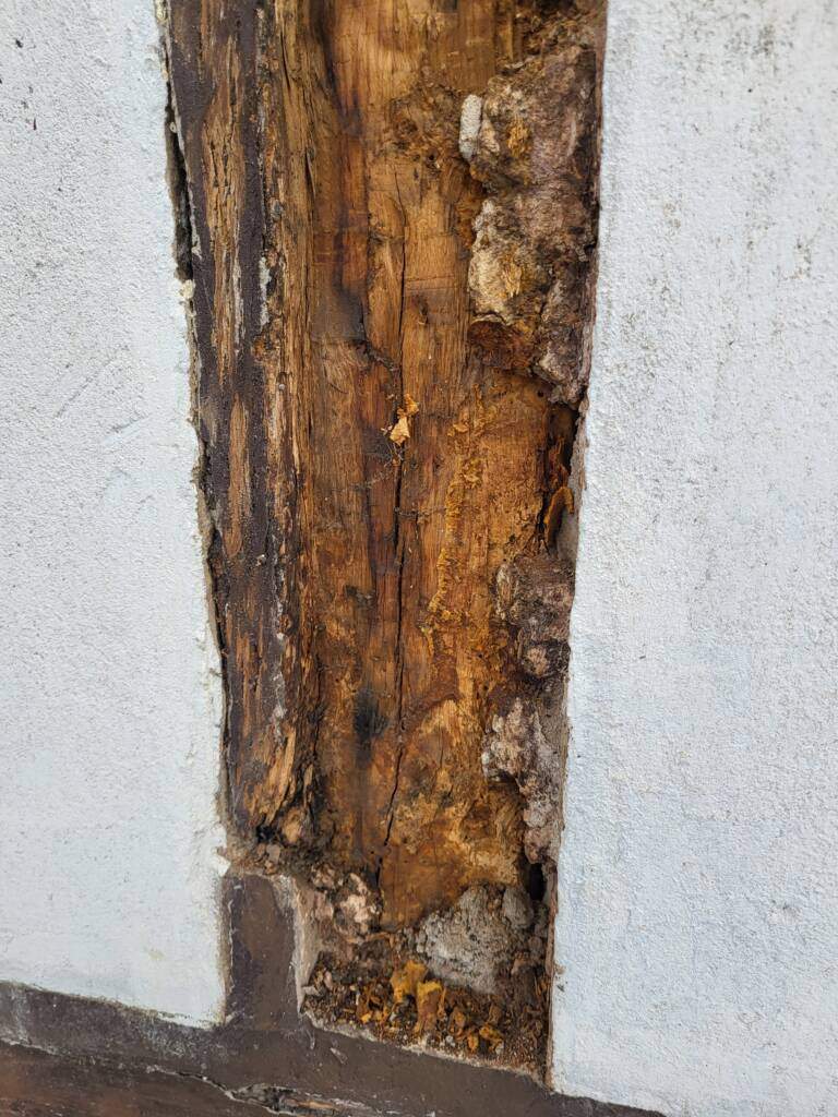 Zimmerei Andé Kasten - Höxter - Fachwerkgiebelhaus des Ackerbürgerhaustyps mit mittigem Dielentorbogen Godelheim